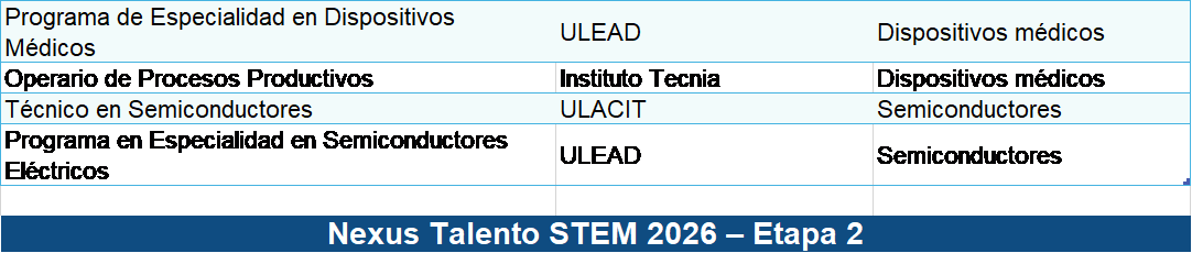 Áreas temáticas Impulso STEM+ 2026